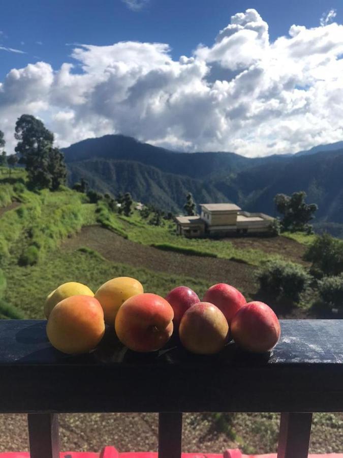 Green View Resort New Tehri エクステリア 写真